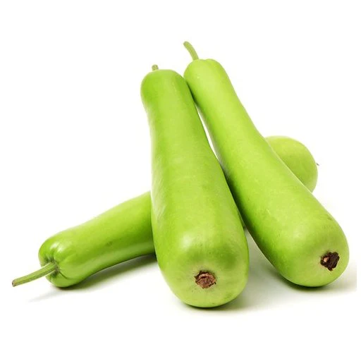 Bottle Gourd